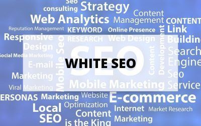 La importancia del white SEO